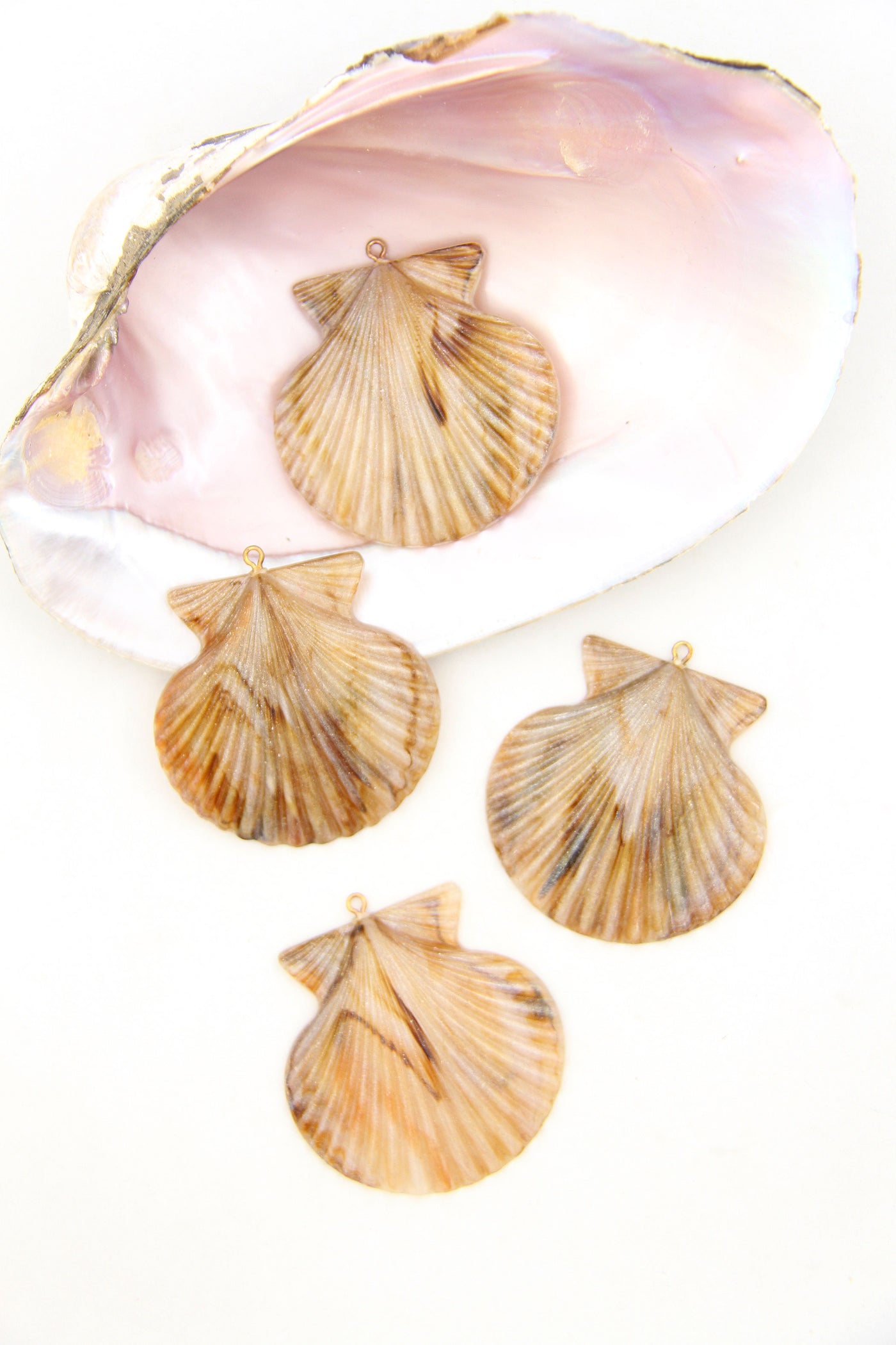 Clam Shell in Neutral, Mermaidcore DIY Jewelry Component