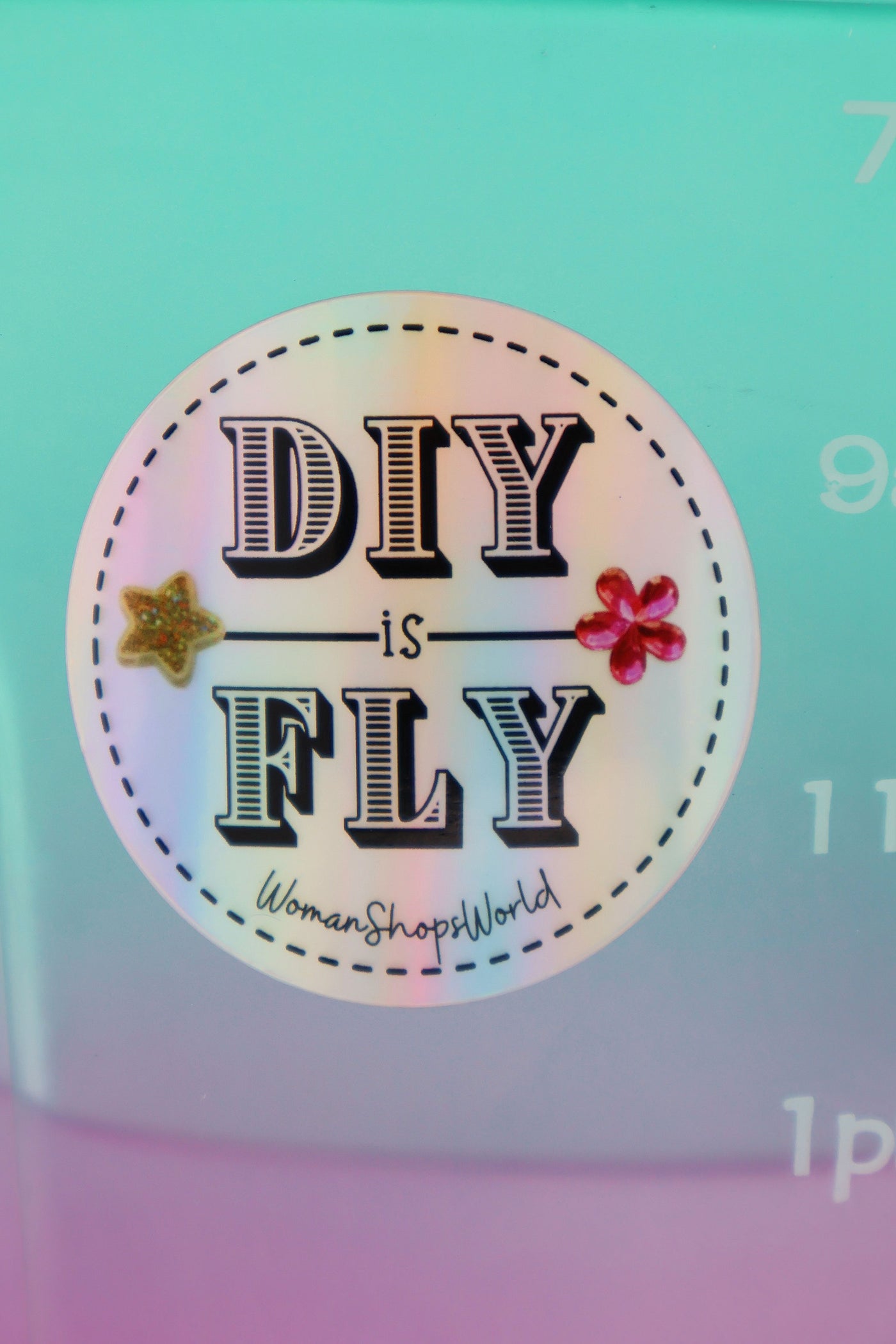 DIY is Fly Holographic Sticker – WomanShopsWorld