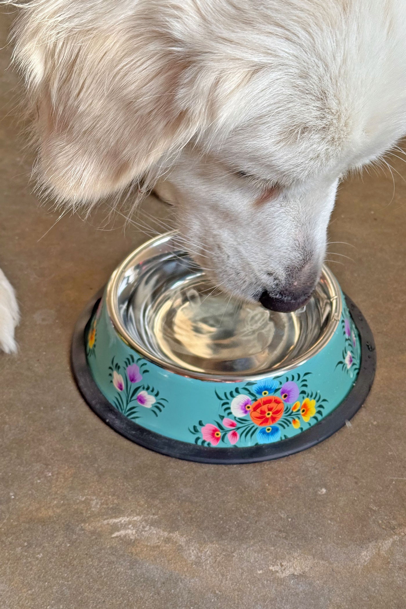 Floral Handpainted Enamelware Stainless Steel Pet Water Bowl