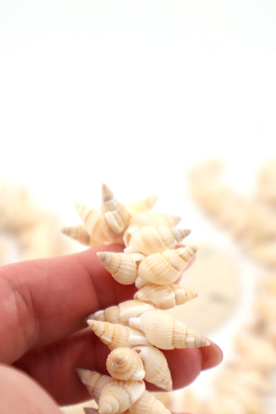 Vintage Tiny Spiral Shell Beads, Natural Conch Shells, 8x20mm, Beads for making beach jewelry