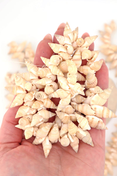 Vintage Tiny Spiral Shell Beads, Natural Conch Shells, 8x20mm, Beads for making beach jewelry