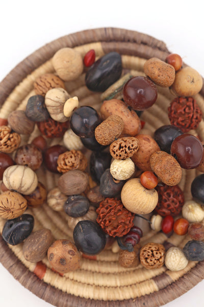 Strand of assorted natural nut and seed beads in earthy brown, tan, and black tones, featuring rudraksha and palm nuts, in a woven basket.