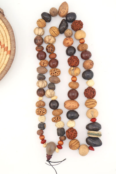 Long necklace or strand of beads made of various seeds and nuts on a white background