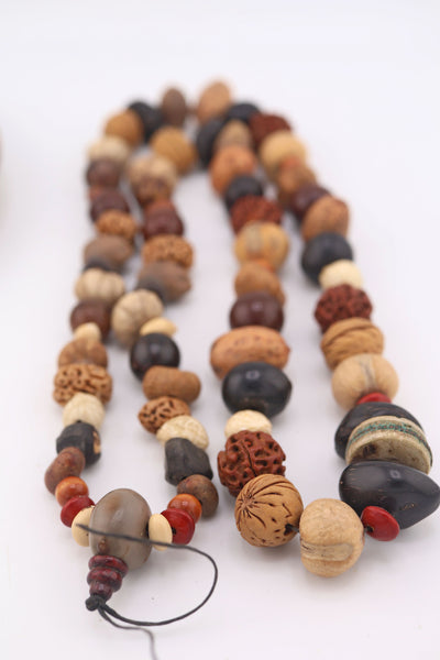 Long necklace or strand of beads made of various seeds and nuts on a white background