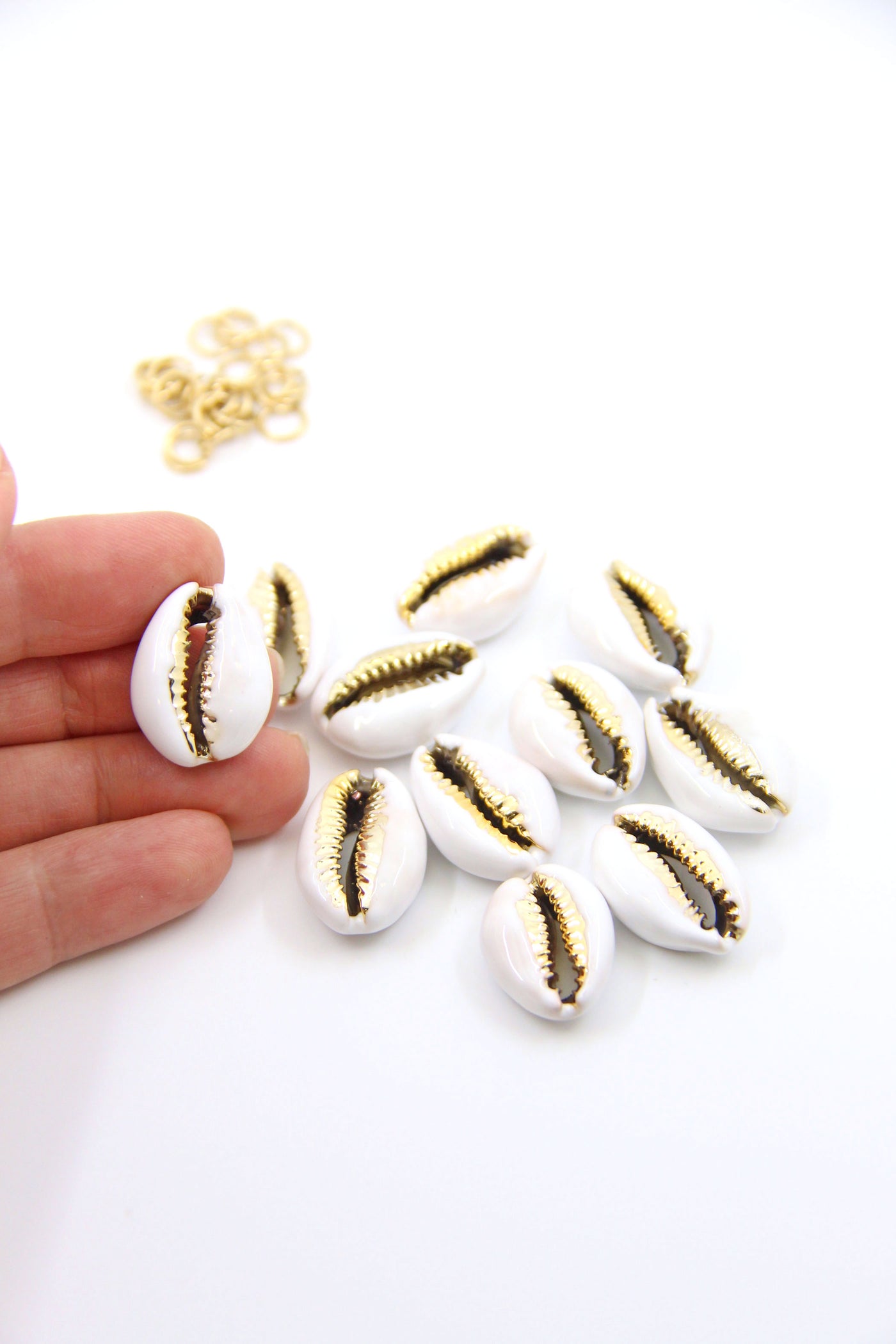 painted cowry shells
