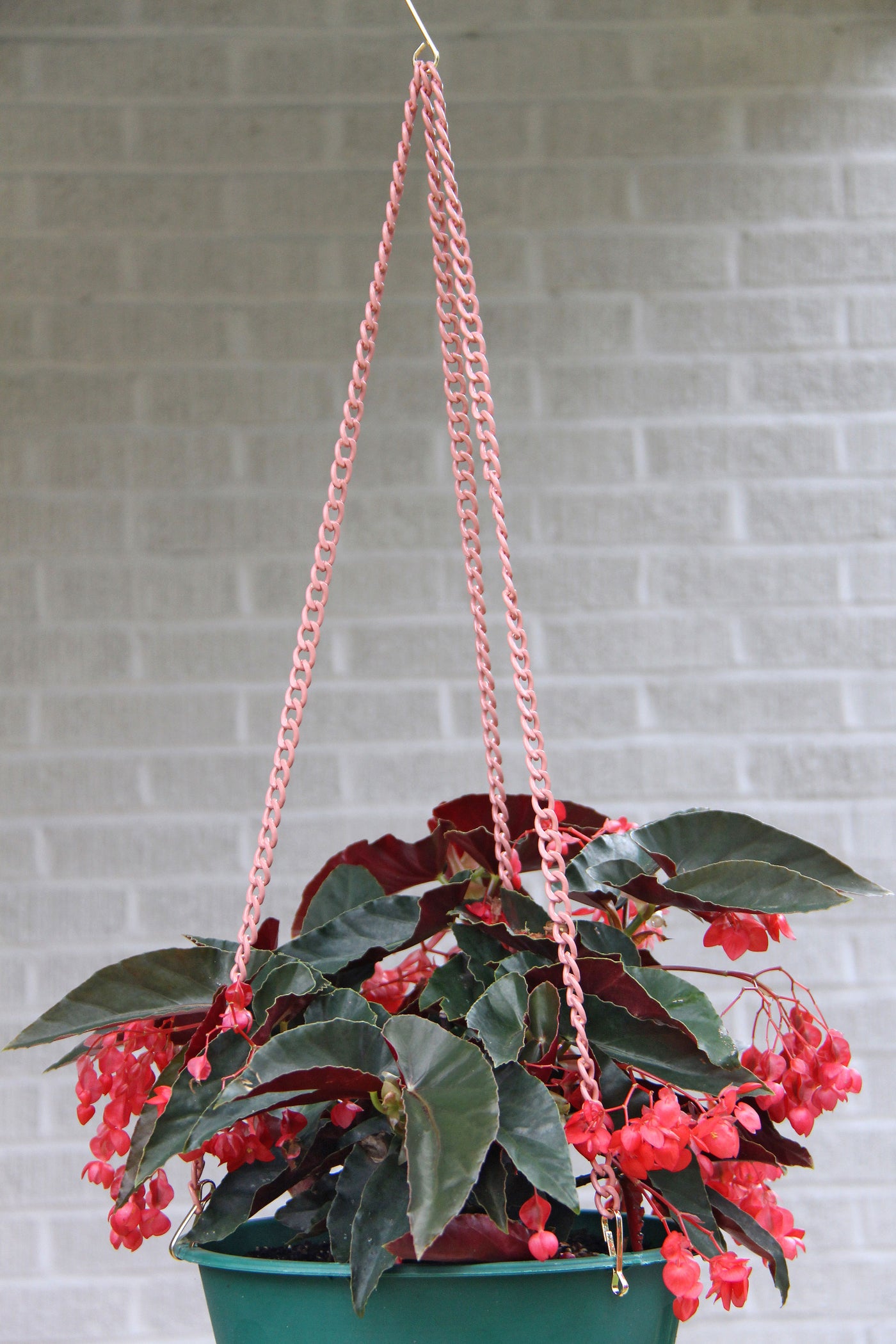 Colorful Enamel Hanging Basket Plant Chain