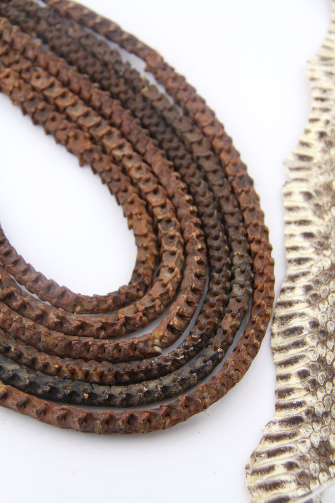 COBRA Bone Beads 1連 Snake_Vertebrae_Beads_from_Afr
