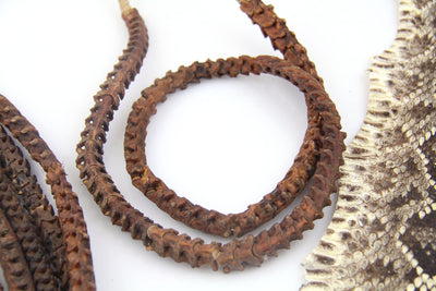 Snake Vertebra Beads