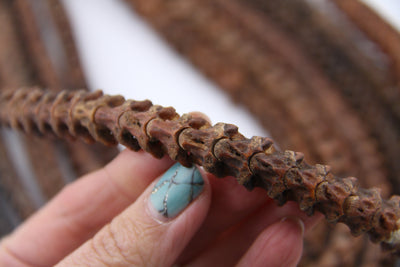 African Snake Vertebrae Beads, Approx. 10x9mm, Tribal Ethnic Beads
