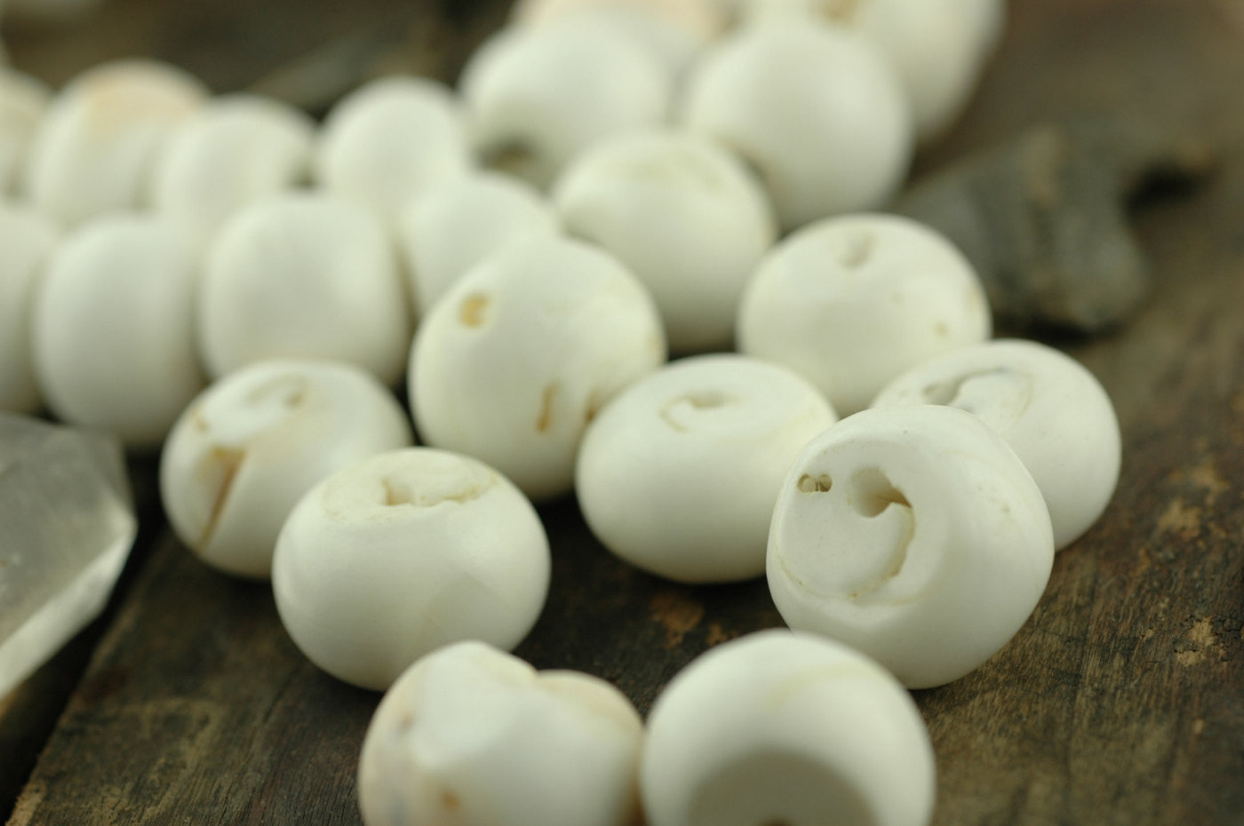 Drops in a Shell, 17x60mm, White Brass Seashell Nepali Pendant